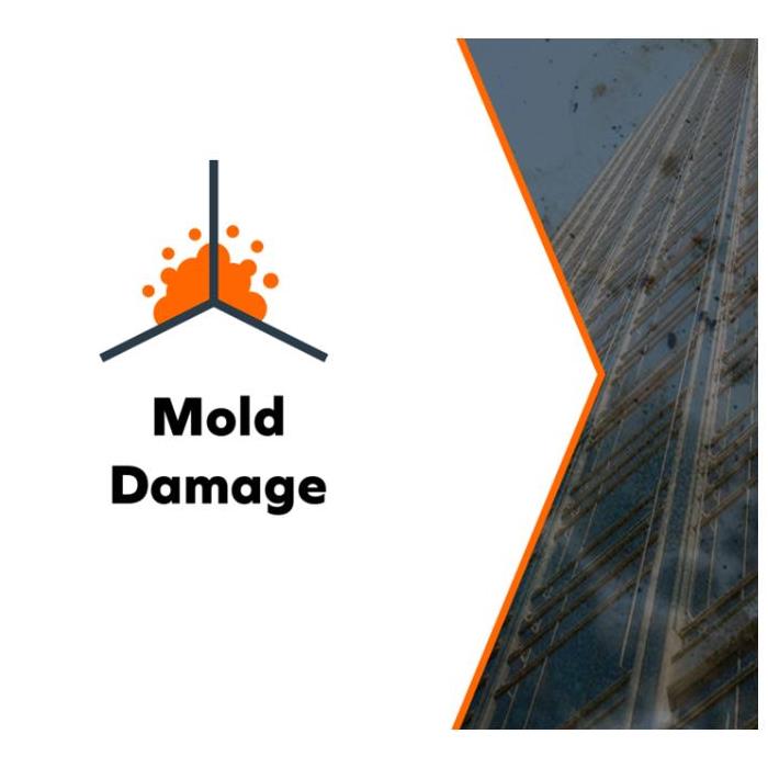 Mold Damage